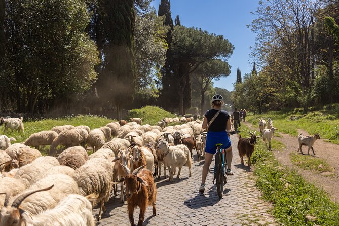 Appian Way On E Bike Tour With Catacombs Aqueducts And Food